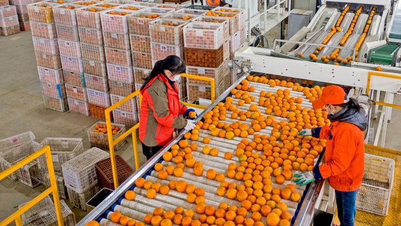 拼多多增速和淘天一样了